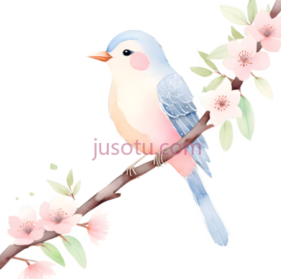 鸟,插画,蓝色,粉色, PNG
