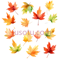 彩色,秋叶, PNG