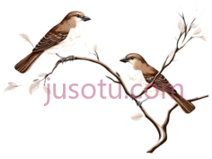 鸟,插画,棕色PNG