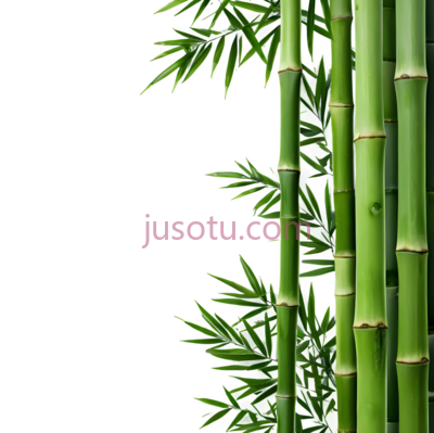 竹子,自然,绿色, PNG