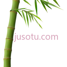 竹子,卡通,绿色PNG