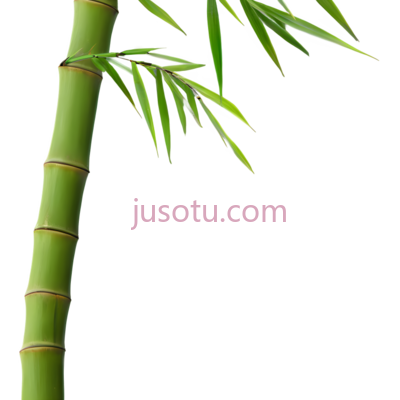 竹子,卡通,绿色, PNG