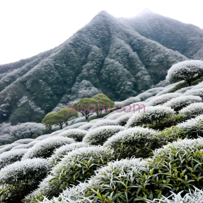 山脉,自然景观,绿色,白色, PNG