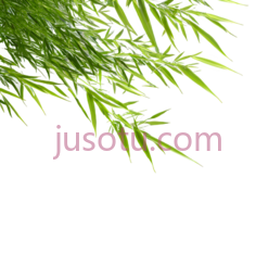 竹子,自然,绿色PNG