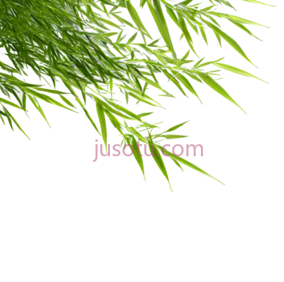竹子,自然,绿色, PNG
