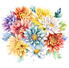 菊花,拼贴PNG