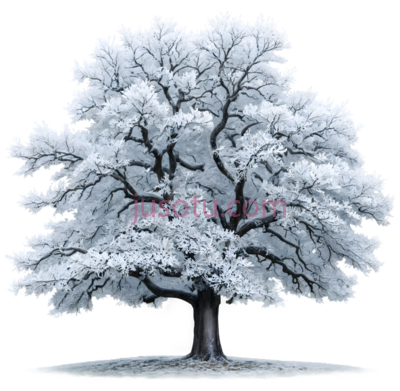 树,雪覆盖,白色, PNG