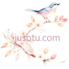 鸟,水彩画,蓝色,粉色,白色PNG