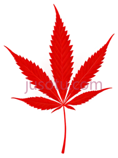 红色,大麻叶PNG