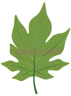 绿叶, PNG