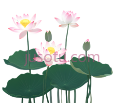 荷花,插画,粉色,黄色,绿色PNG