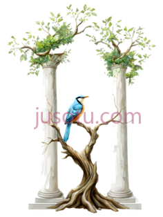 鸟类,树木PNG