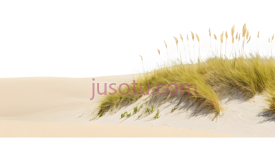蒲公英,自然,黄色, PNG