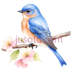 蓝鸟,树枝PNG