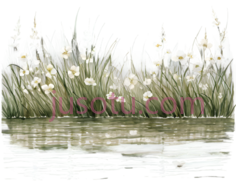 花朵,草地,插画,白色,绿色PNG