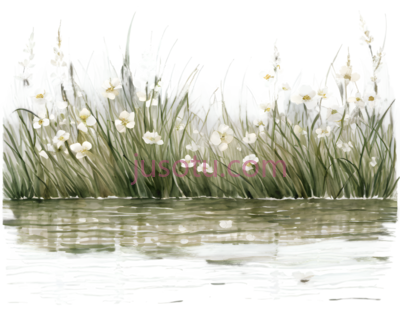 花朵,草地,插画,白色,绿色, PNG
