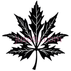 枫叶, PNG