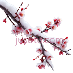 梅花,水墨画,白色,粉色PNG