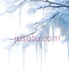 树枝,冰冻,白色PNG
