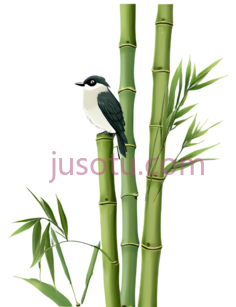 小鸟,竹子PNG