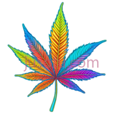 大麻叶,彩色,彩虹色PNG