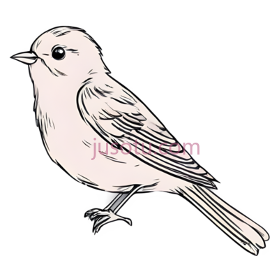 鸟,线条画,白色, PNG