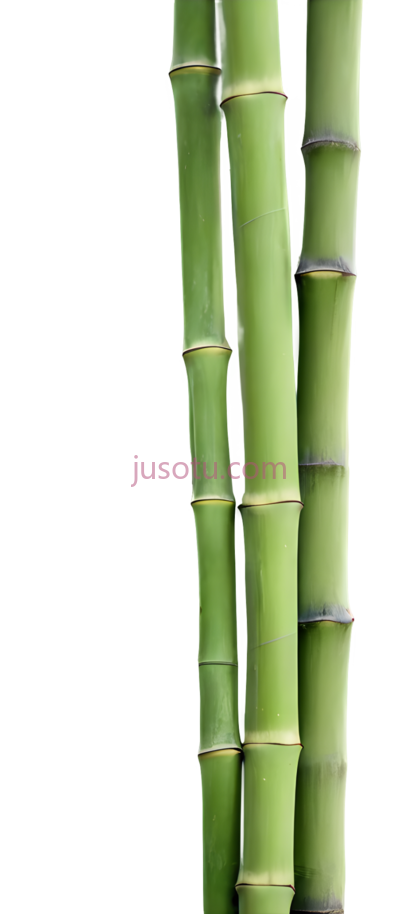竹林, PNG