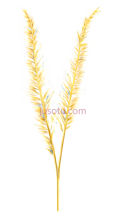 羽毛,金色, PNG