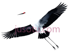 鹤,飞翔,白色PNG