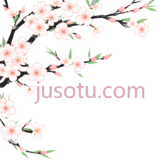 樱花,插画,白色,粉色, PNG