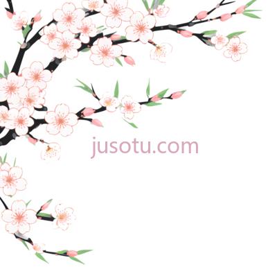 樱花,插画,白色,粉色, PNG