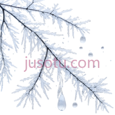 树枝,插画,白色PNG