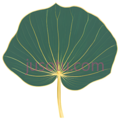 荷叶,金色PNG