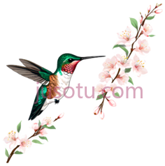 蜂鸟,樱花,浅棕色,翡翠绿PNG