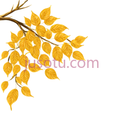 树枝,插画,黄色PNG