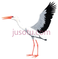 白鹭PNG