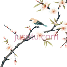 鸟,樱花,水墨画,白色,粉色,绿色PNG