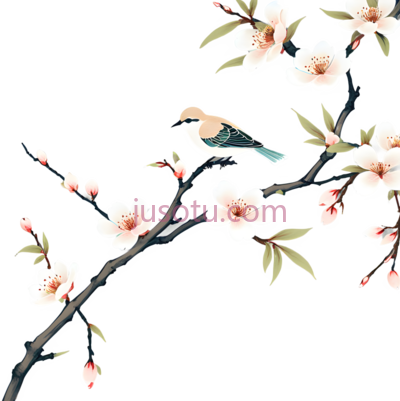 鸟,樱花,水墨画,白色,粉色,绿色, PNG