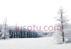 雪景,冬季风景,白色PNG