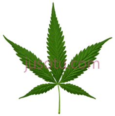 大麻叶, PNG