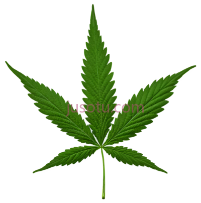 大麻叶, PNG