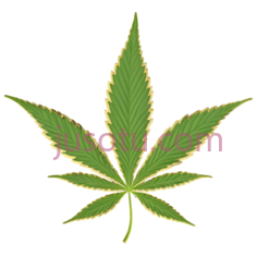 大麻叶, PNG