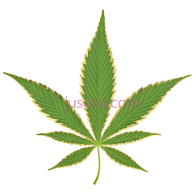 大麻叶, PNG