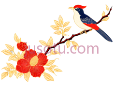 鸟,花,插画,红色,黄色,蓝色,白色,黑色PNG