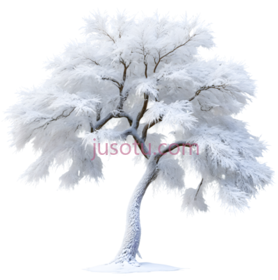 树,雪覆盖,白色, PNG