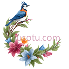 鸟,插画,蓝色,橙色,白色PNG