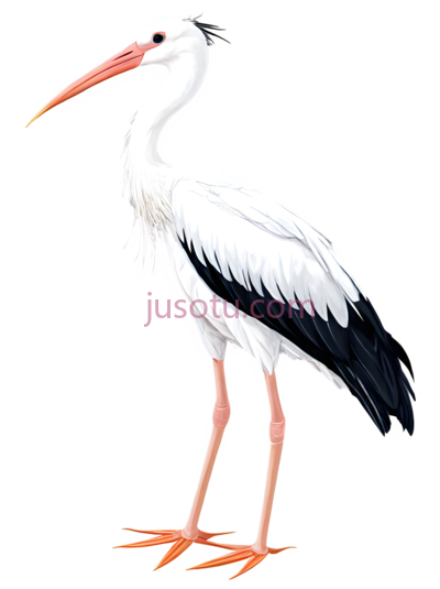 白鹭, PNG