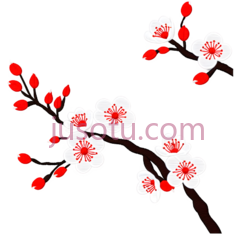 梅花,插画,白色,红色PNG