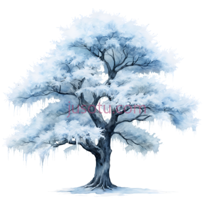 树形,冰冻, PNG