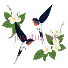燕子,花朵PNG